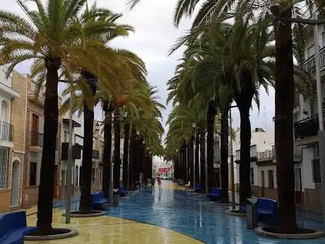 Paseo de las Palmeras