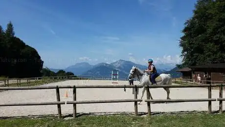 Maneggio cavalli