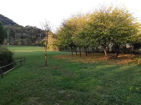 Photo de PÃcnic Sant Joan Les fonts