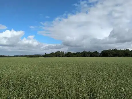 Photo de Appleton Thorn playing fields