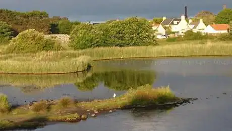 Vale Pond