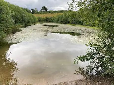 Photo de Radbrook Nature Reserve