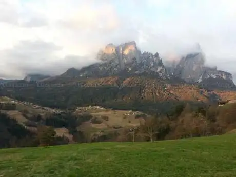Bosco di Laranza