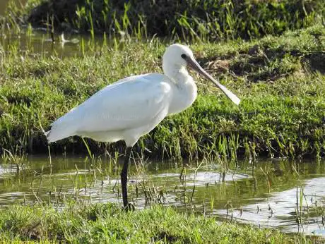 Photo de Sureste. Soto Gutiérrez Regional Park