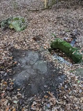 Druid's Well (St Mary's Well)