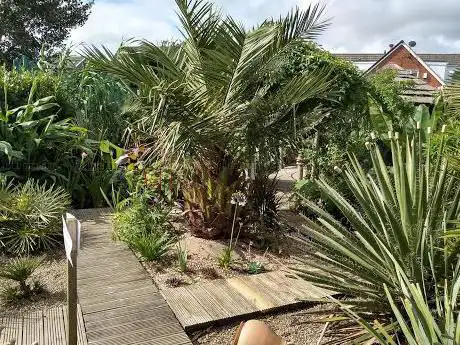 Photo de Great Cliff Exotic Garden
