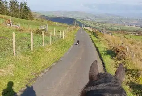 Photo de City Of Derry Equestrian Centre