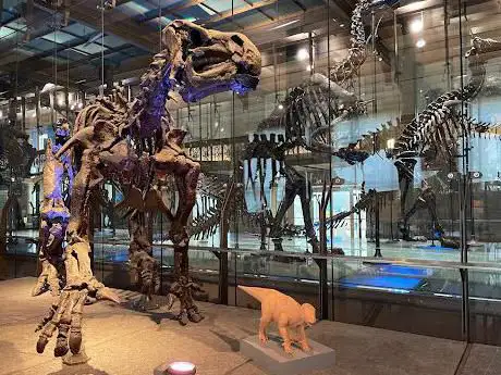 Muséum des sciences naturelles