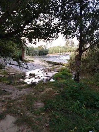 Steccaia dogana