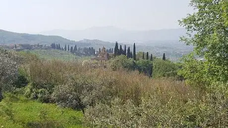 Photo de Lucciano
