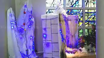 Sœurs Disciples du Divin