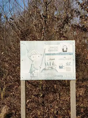 Het potloodbos