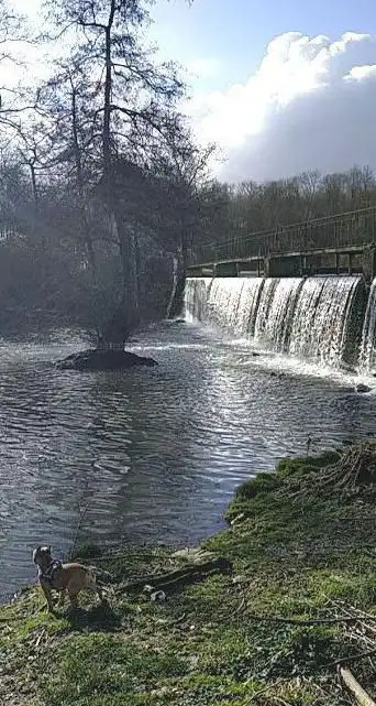 Cascade du ru
