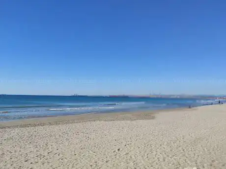 Photo de Platja de la Pineda