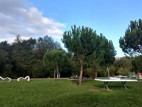 Ribeira de Pitancinhos