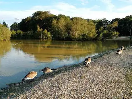 Cadman's Pool