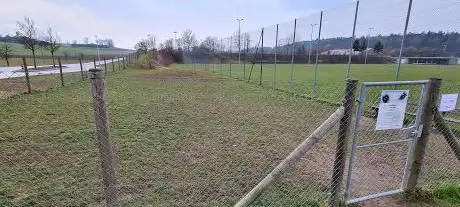 Dog Playground