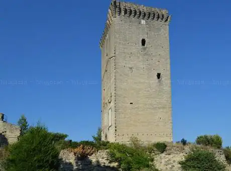Photo de Torre Anglica