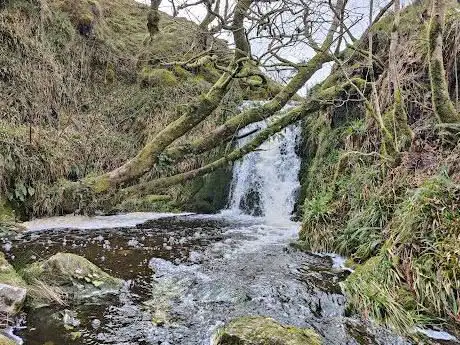 Shavercombe falls