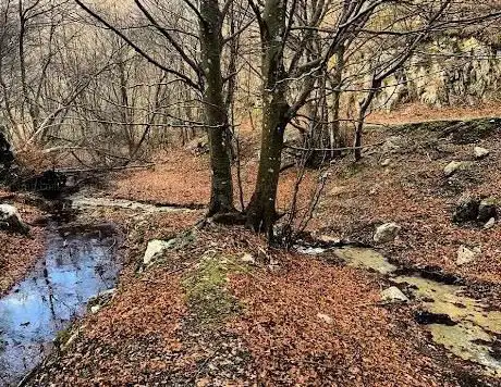 Photo de Cascate Capo Rio
