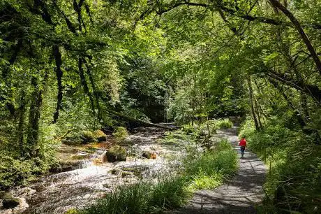 Photo de Cladagh Glen National Nature Reserve