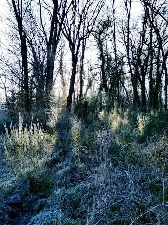 Photo de Parc Walon.Fr