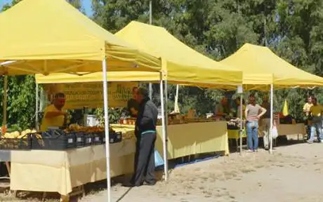Agrimercato San Martino di Campagna Amica