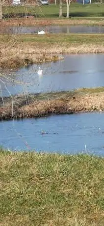 Parcours de Disc-Golf de Noyelles-sous-Lens