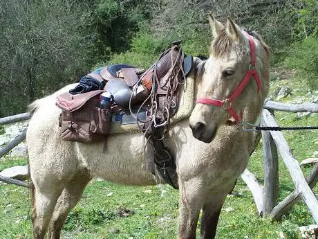 Photo de Country House asd