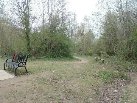 Photo de Devonshire Avenue Nature Area