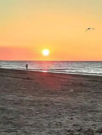 Photo de Plage des bidons V