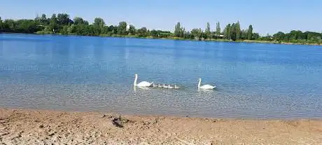 Photo de Plan d'eau du Lac Achard