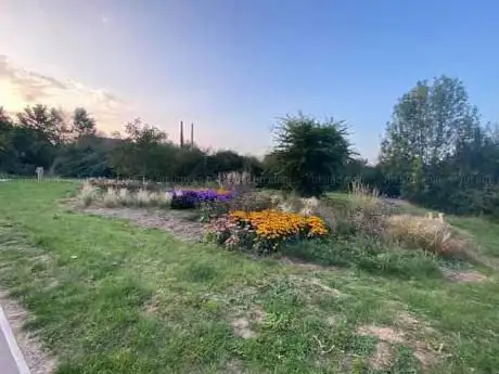 Wembdon Parklands