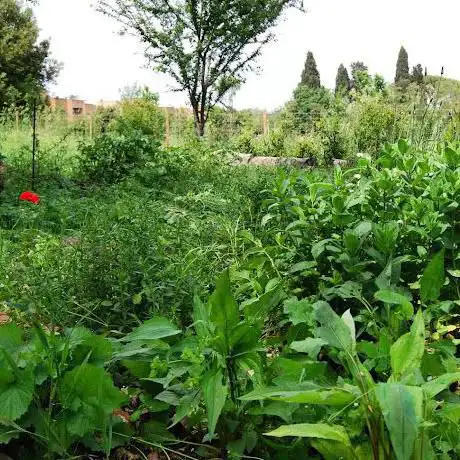 Botaniteca
