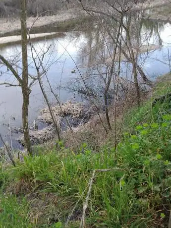 Photo de Presilla del Manzanares el Pardo.