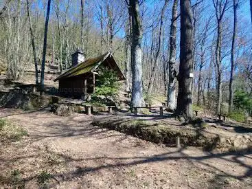 Photo de Waldkapelle