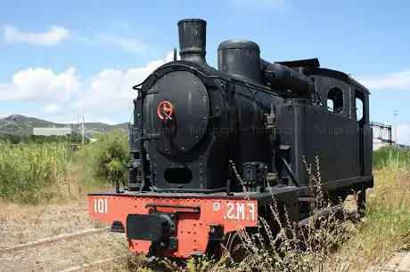 Locomotiva a vapore FMS 101 (monumentata)