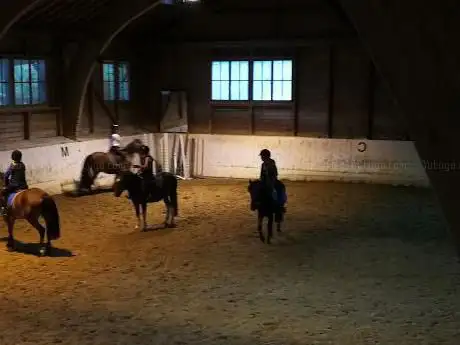 Photo de Manège de Meyrin | Cours d'équitation