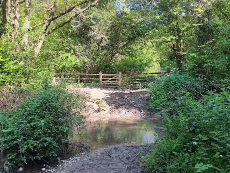 Lower Woods Nature Reserve
