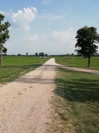 Photo de Madonna della Colombina