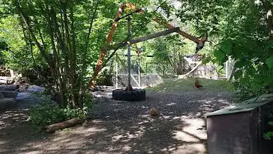 Robinsonspielplatz Bachgraben