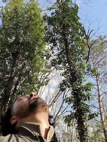 Photo de Eppelheimer Wald