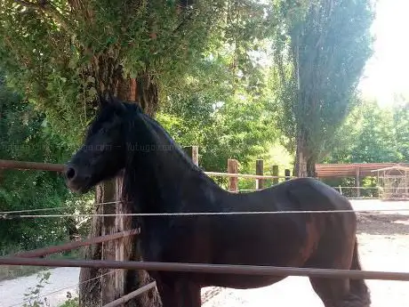 Ranch Ciano