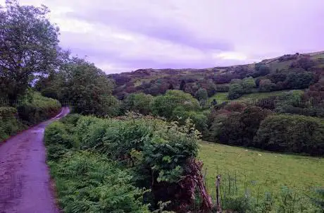 Afon Leri
