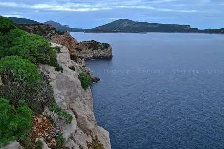 Foresta Demaniale di Porto Conte