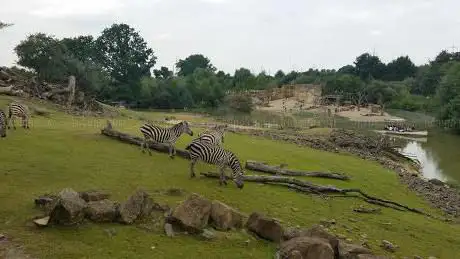 ZOOM Erlebniswelt