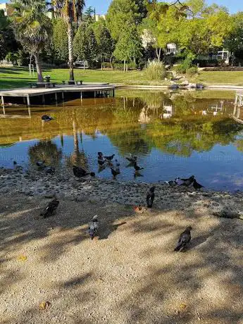 Photo de Parc Saint-EXUPERY