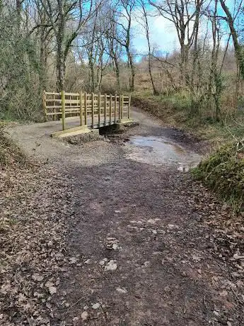 Coed Canaston Wood
