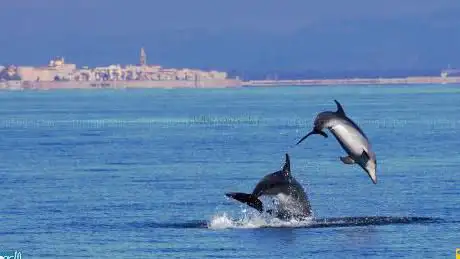Progetto Natura