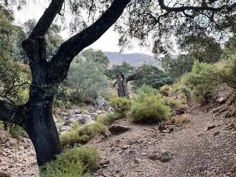Photo de Inicio ruta Pico Tiñosa